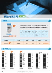 分子生物學(xué)甄選產(chǎn)品促銷專輯 生工生物引領(lǐng)生命科學(xué)產(chǎn)品與技術(shù)服務(wù)新浪潮