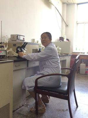 材料科學領域的耕耘者——佟靜教授學術簡介